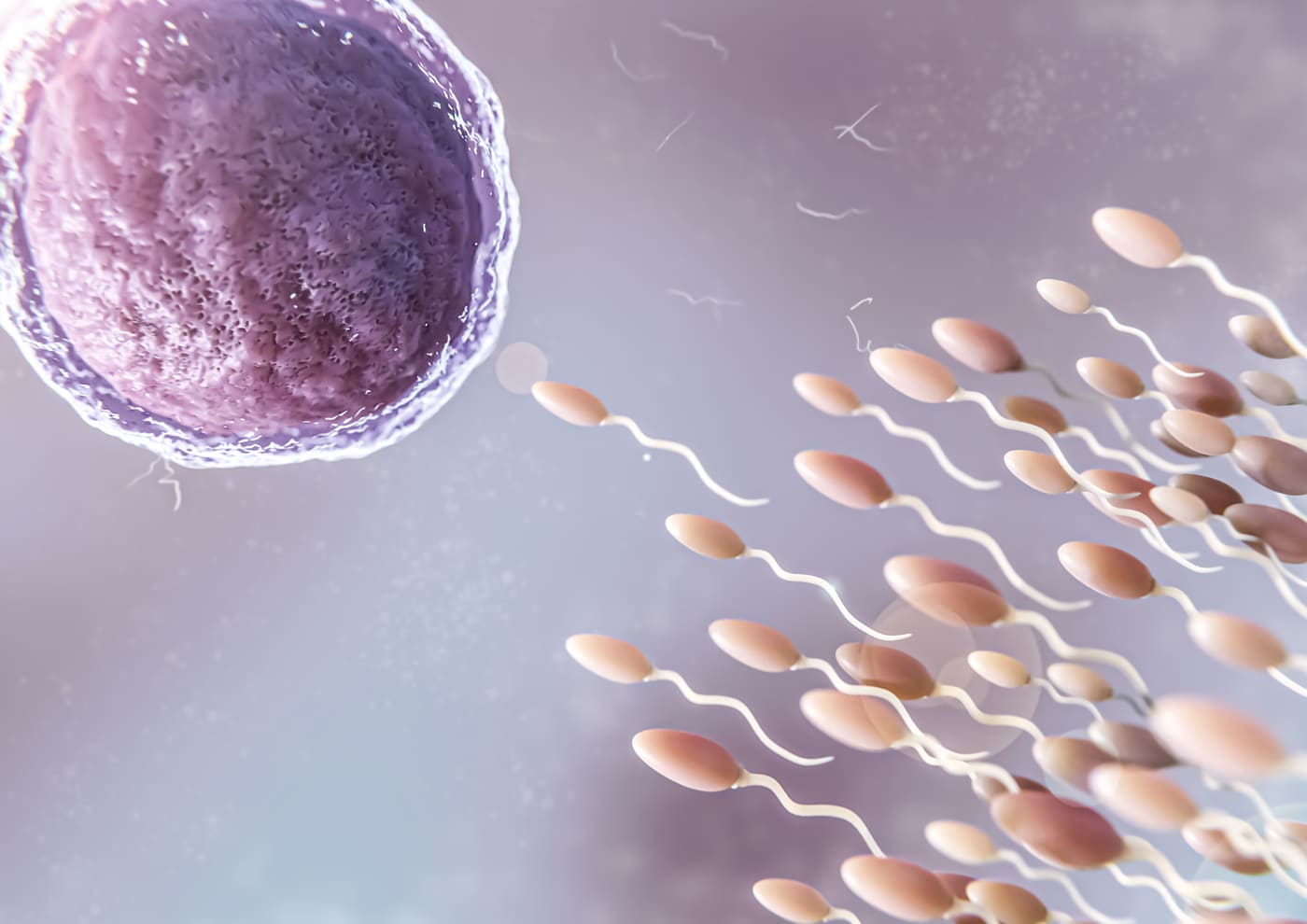 Sperm Kalitesi Tüp Bebek Başarısını Etkiler mi?