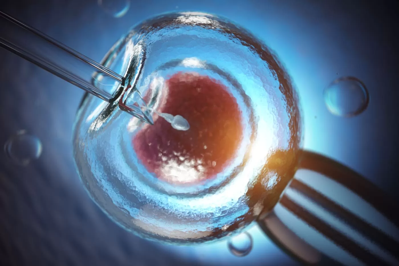 In Vitro Maturasyon (IVM) Nedir? Klasik Tüp Bebeğe Alternatif Olabilen Bu Yöntem Hakkında 6 Kritik Nokta