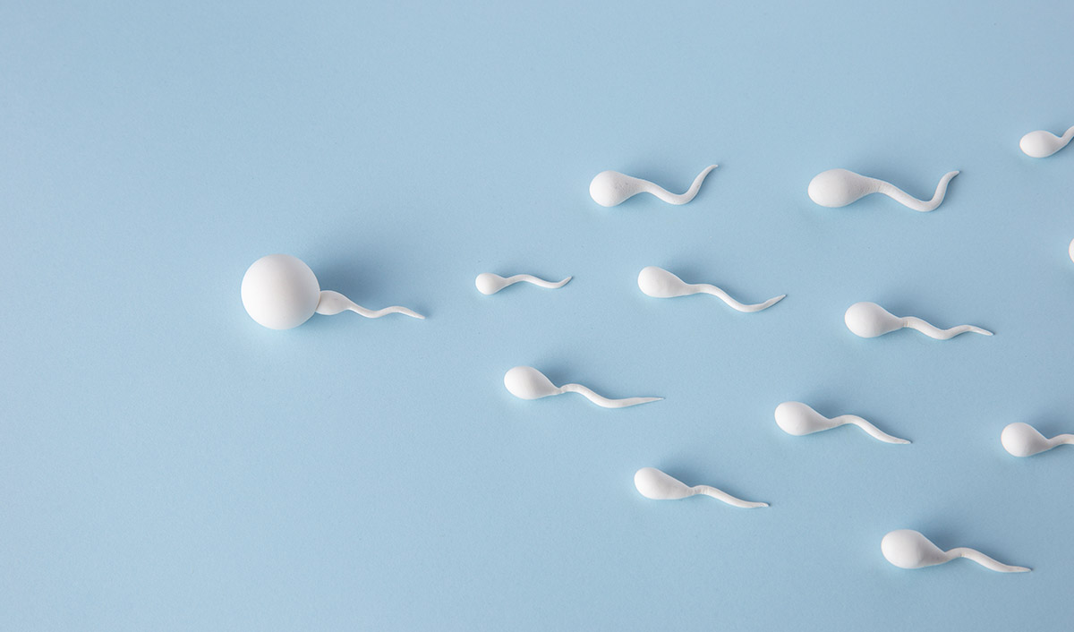 Sperm Harvesting Techniques