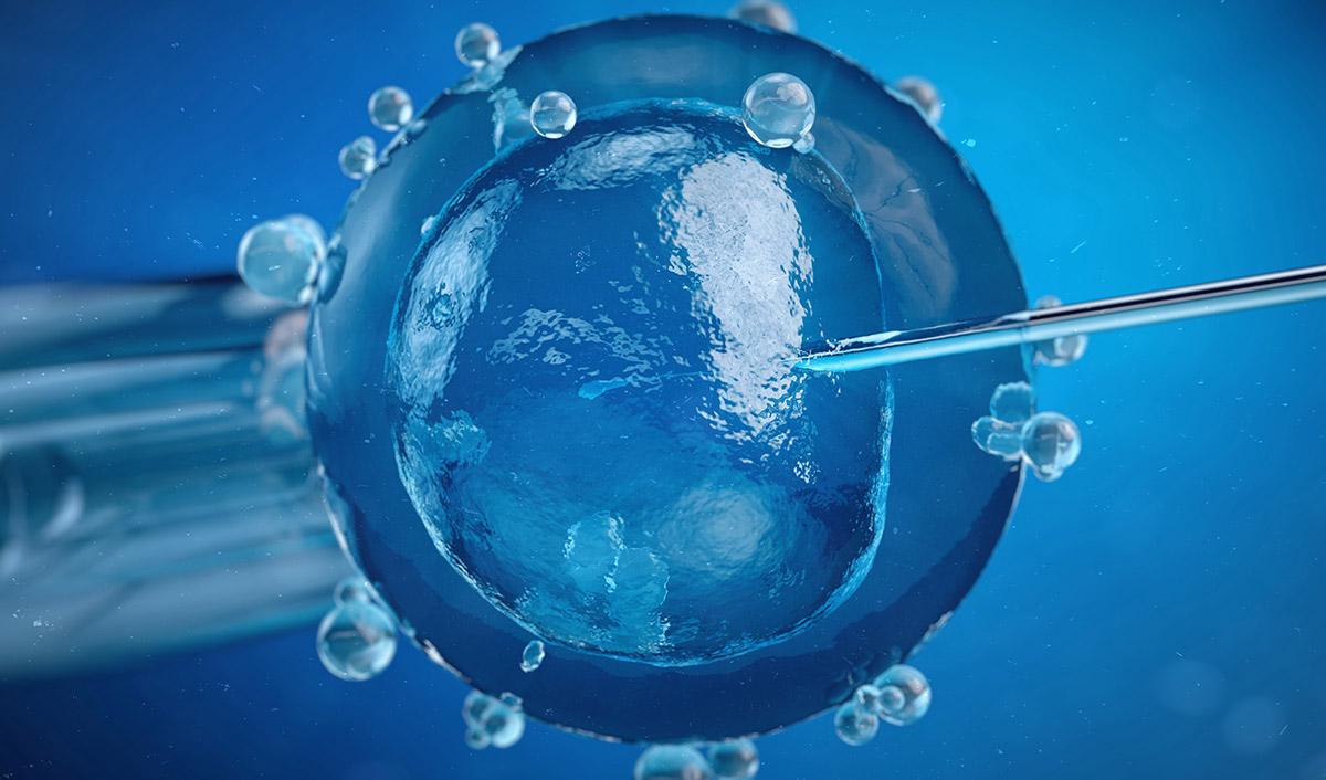Egg Freezing (Oocyte Freezing)